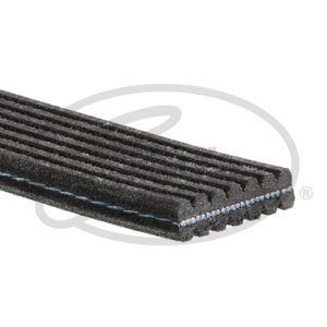 Pasek wielorowkowy GATES 7DPK1560 022145933R