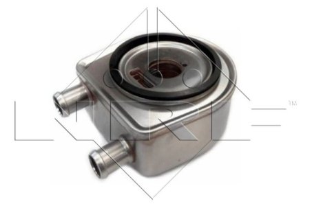 Chłodnica oleju NRF 31247 7700114039