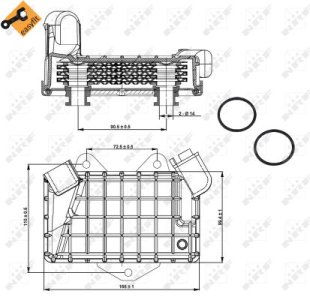 Chłodnica oleju NRF 31274 6061800365