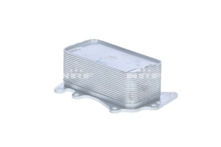 Chłodnica oleju NRF 31283 11428510856