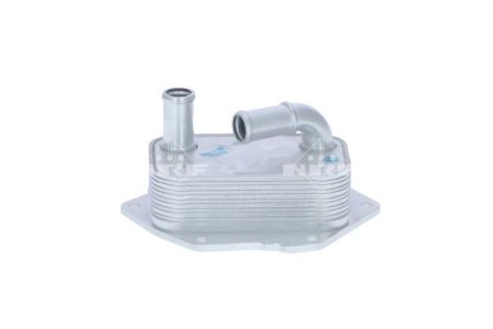 Chłodnica oleju NRF 31313 1103P4