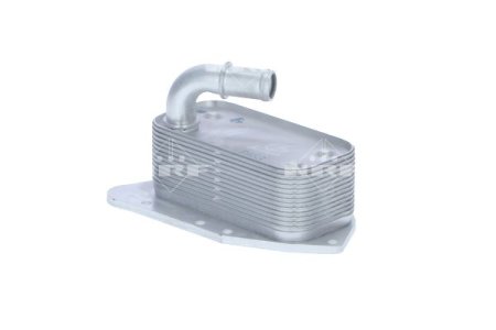 Chłodnica oleju NRF 31340 55577343