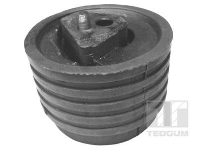 Poduszka silnika TEDGUM 00614322 4283743
