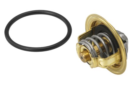 Termostat WAHLER 410396.82D 133837