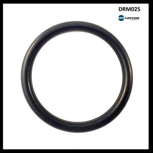 O-RING PRZEPUSTNICY DUŻY DR.MOTOR DRM025 8200068583 RENAULT