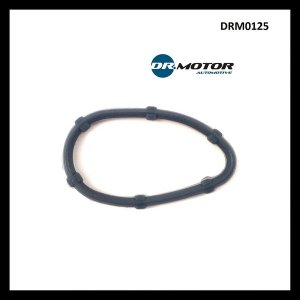 USZCZEKLA KOLEKTORA SSĄCEGO RENAULT, NISSAN