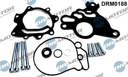 Zestaw naprawczy pompy vacuum DR.MOTOR DRM0188 038145209C
