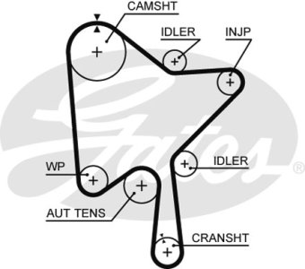 Pasek wielorowkowy GATES 5686XS 
