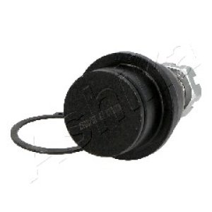 SWORZEŃ WAHACZA KIA