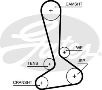 ZESTAW PASKA KLINOWEGO WIELOROWKOWEGO CHRYSLER