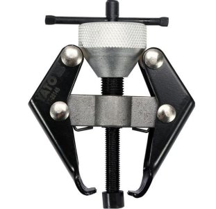 SCIAGACZ DWURAMIENNY