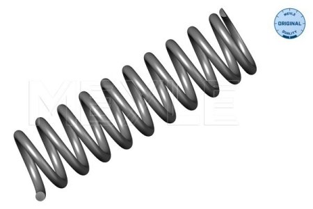SPRĘŻYNA ZAW. DB P. W202