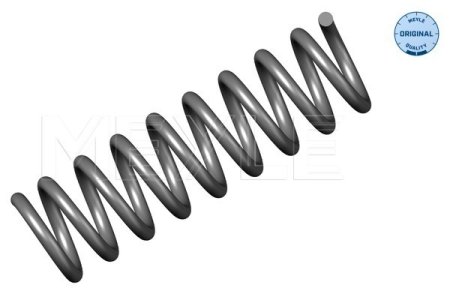 SPRĘŻYNA ZAW. DB T. W202