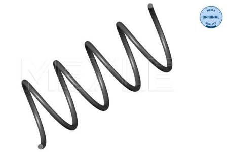 SPRĘŻYNA ZAW. DB P. C (W203) 1.8/2.0 10.00-06.11