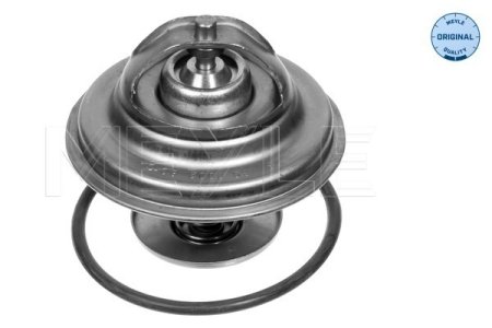 TERMOSTAT DB OM615-617 80C   #