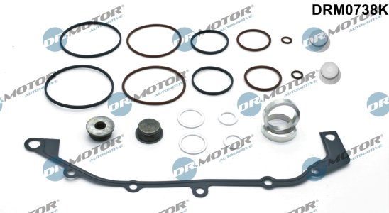 ZESTAW USZCZELEK PODWÓJNY Dr.Motor Automotive DRM0738K 11361432433 (VANOS) BMW
