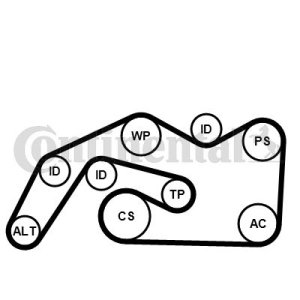 ZESTAW PASKA KLINOWEGO WIELOROWKOWEGO CONTINENTAL CTAM 6PK2490K1 K016PK2490 AUDI
