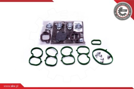 ZESTAW NAPRAWCZY KOLEKTORA ESEN SKV 49SKV512  OPEL SILNIKI 2.0 CDTI