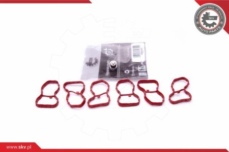 ZESTAW NAPRAWCZY KOLEKTORA ESEN SKV 49SKV522  BMW 5 7 X5 X6