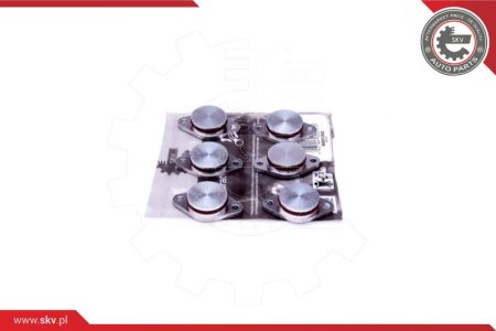 ZESTAW NAPRAWCZY KOLEKTORA ESEN SKV 49SKV542  BMW 3ER 5ER 7ER X3 X5