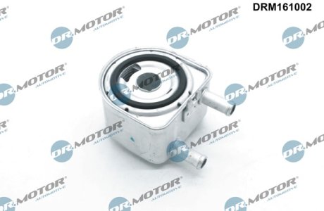 Chłodnica oleju Dr.Motor DRM161002 1103N1 PSA,FIAT