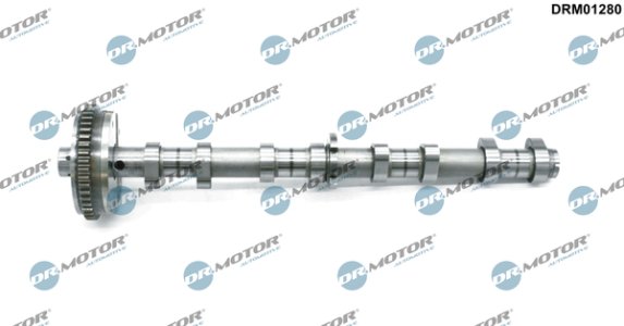 Koło zmiennych faz z wałkiem rozrządu Dr.Motor DRM01280 06H109021K VW