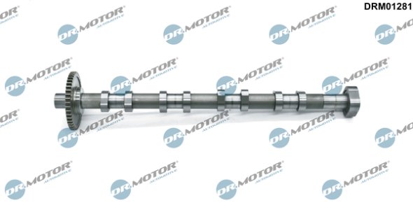 Koło zmiennych faz z wałkiem rozrządu Dr.Motor DRM01281 06H109022BA VW