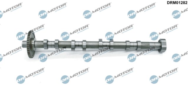 Koło zmiennych faz z wałkiem rozrządu Dr.Motor DRM01282 06J109022H VW