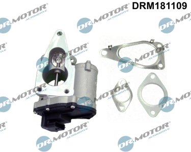 Zawór EGR z uszczelką Dr.Motor DRM181109 8200411031 RENAULT