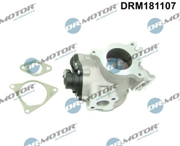 Zawór EGR z uszczelką Dr.Motor DRM181107 96161826 RENAULT, NISSAN, OPEL