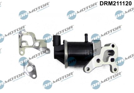 Zawór EGR z uszczelką Dr.Motor DRM211120 030131503B VW