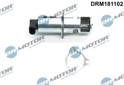 Zawór EGR z uszczelką Dr.Motor DRM181102 8200542998 RENAULT,NISSAN
