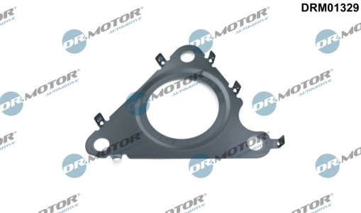 Uszczelka EGR Dr.Motor DRM01329 04L131547L VW
