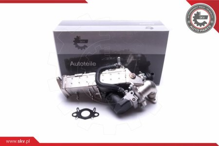 Zawór EGR z chłodnicą SKV 14SKV234 11718517724 BMW