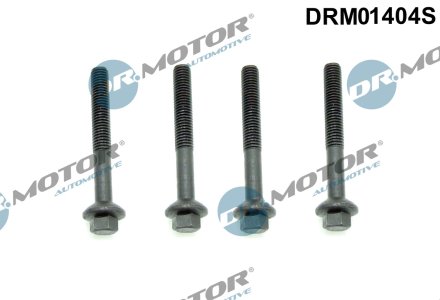 Zestaw śrub stopki wtrysku Dr.Motor DRM01404S 8200548368 (4 SZT.) RENAULT
