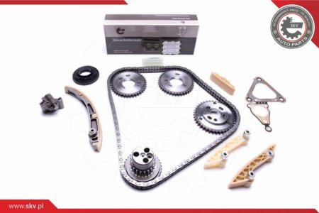 Zestaw łańcucha rozrządu SKV 21SKV207 TCK47 (13 EL.) FORD JAGUAR