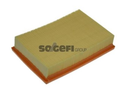 Filtr powietrza PURFLUX A1111 C25101