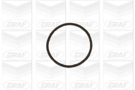 Pompa wody GRAF PA654 036121005M