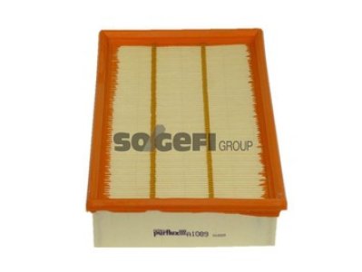 Filtr powietrza PURFLUX A1089 C28100