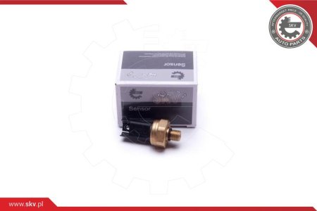 Czujnik ciśnienia paliwa SKV 17SKV620 13537547883 BMW 1 3 5 6 7 X5 X6