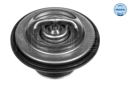 TERMOSTAT BMW 80C M20/50