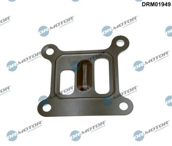Uszczelka pompy wody Dr.Motor DRM01949 1116916 FORD