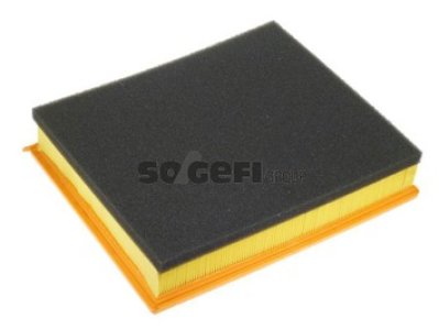 Filtr powietrza PURFLUX A1010 C32199