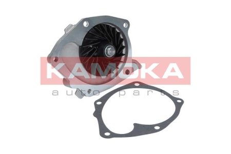 POMPA WODY RENAULT MEGANE III 08-, SCENIC III 09-