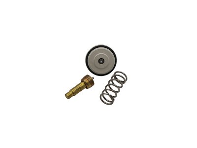 TERMOSTAT VAG