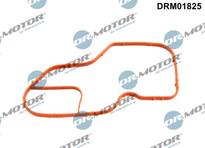 Uszczelka korpus termostatu Dr.Motor DRM01825 110624453R RENAULT, NISSAN