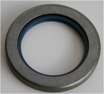 USZCZELNIACZ 55X80X10