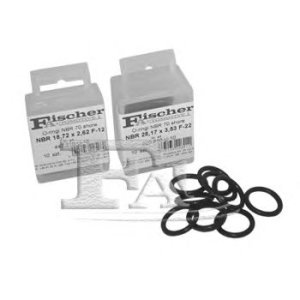 O-RING 18,64 X 3,53 F-16