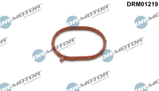 Uszczelka kolektora ssącego Dr.Motor DRM01219 059145625 VAG