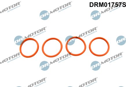 Zestaw uszczelek kolektora ssącego Dr.Motor DRM01757S 0342E0 PSA (4 SZT)